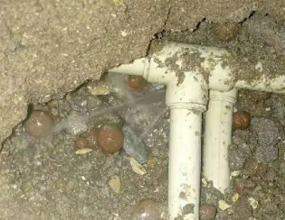 南郊卫生间测漏