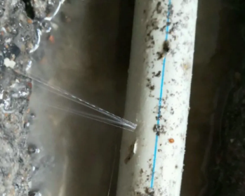 南郊卫生间测漏水多少钱